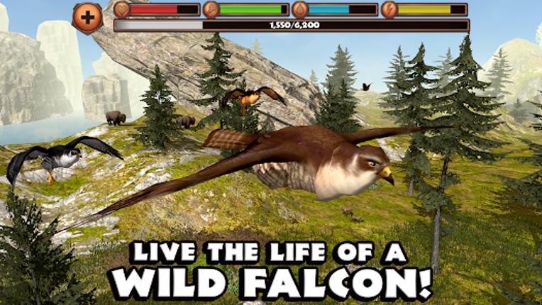 Falcon Simulator screenshot