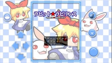 RABBIT LABYRINTH Image