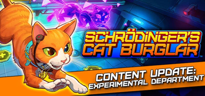 Schrodinger's Cat Burglar Image