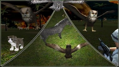 Wild Owl Flying Simulator 3D Image