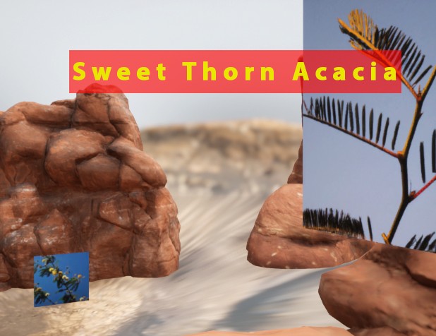 Games like "I am, because we are" said the Sweet Thorn Acacia