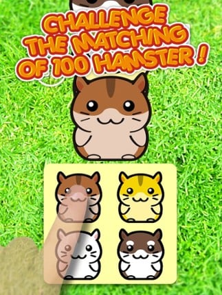 Hamster 100 Adorable Pet Friends screenshot