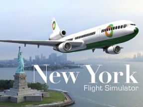 New York Flight Simulator Image