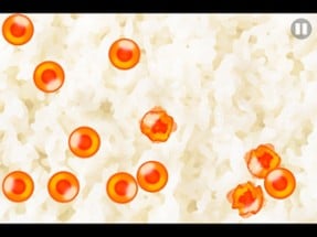 Salmon Roe Image