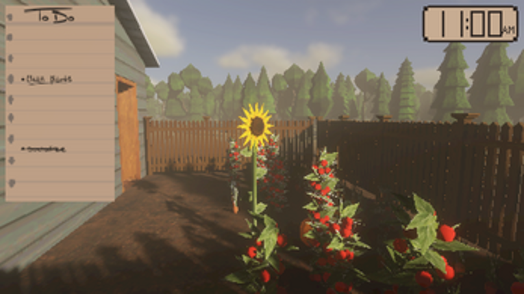 Sunflower Image