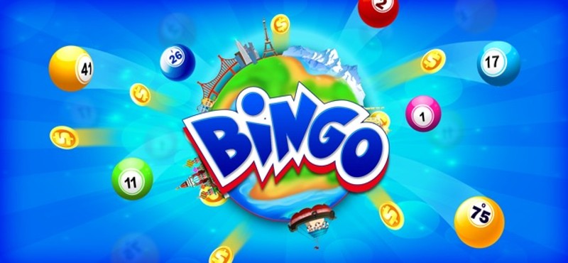 Bingo Frenzy screenshot