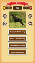 Dogs Quiz Image