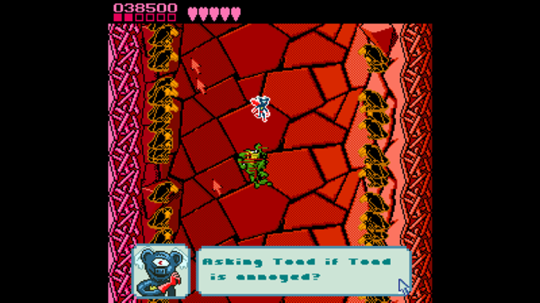Pause Screen From Battletoads Image