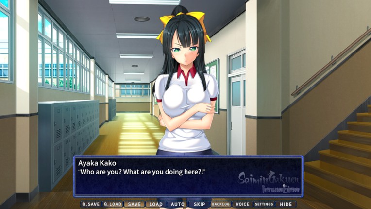 Saimin Gakuen: Intrusion Edition Image