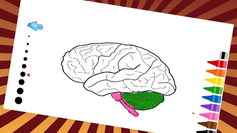 Atlas Of Body Parts Human Anatomy Coloring Book screenshot