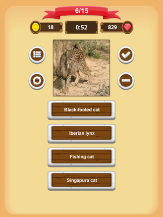 Cats Quiz Image