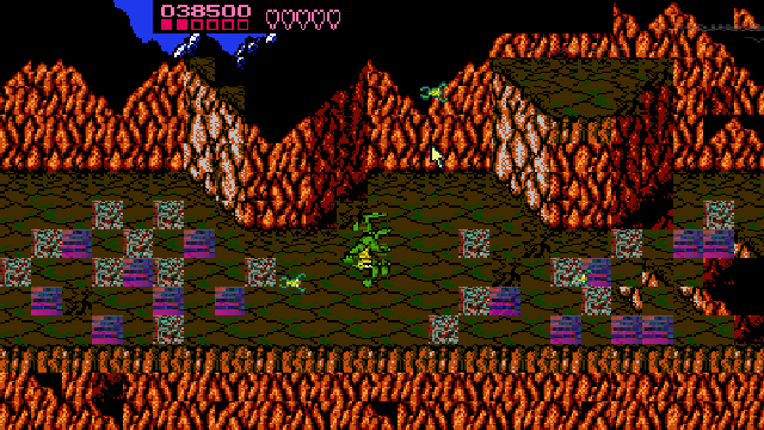 Pause Screen From Battletoads screenshot