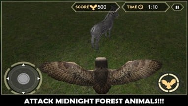 Wild Owl Flying Simulator 3D Image