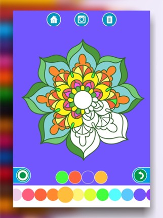 Coloring Books for Adults screenshot