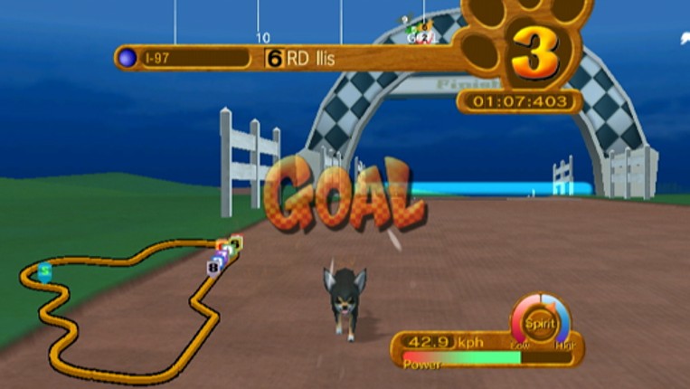 Derby Dogs Image