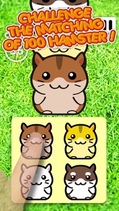 Hamster 100 Adorable Pet Friends screenshot