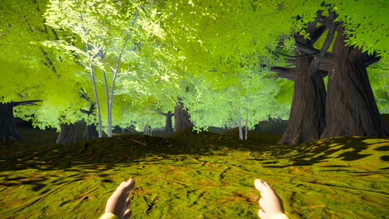 RV Savage Desire Image