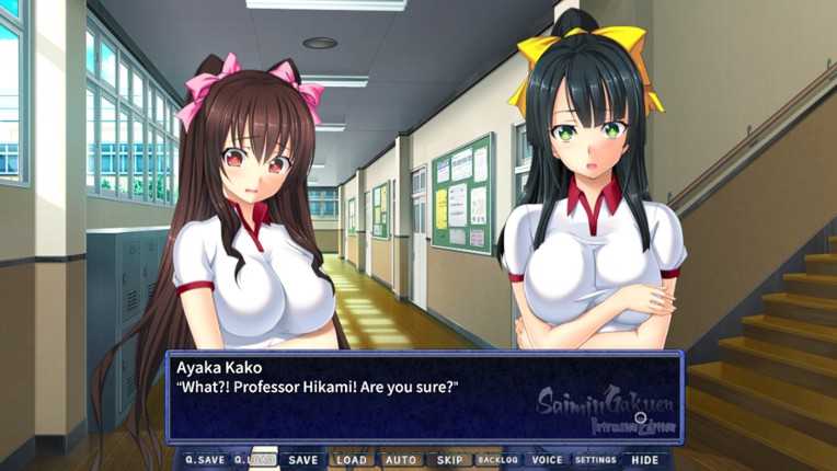 Saimin Gakuen: Intrusion Edition Image