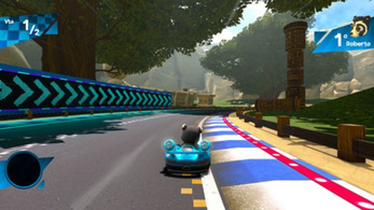 Ecotroopers Natural Racing Image