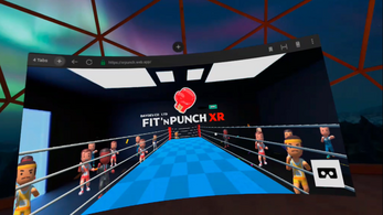 Fit'n Punch XR Image