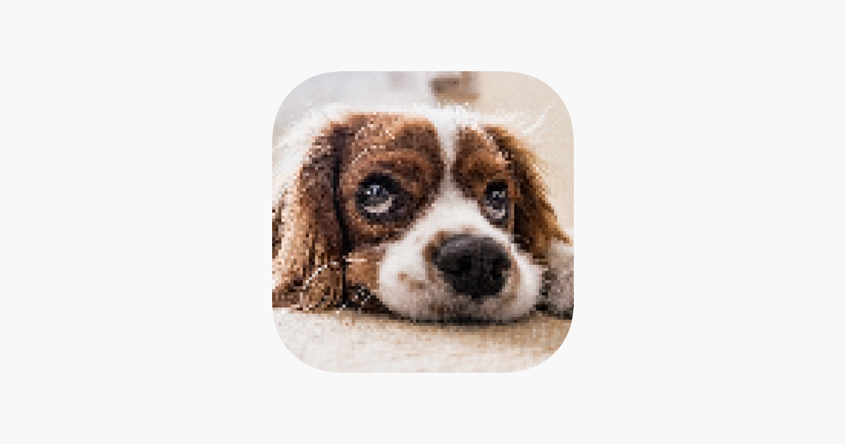 Games like Pixel Pic - Quiz Word Game