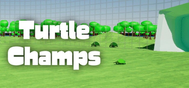 Turtle Champs Game Cover