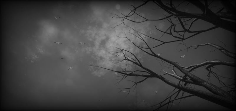 Before Dawn Image