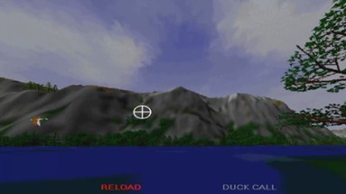 Duck Hunt Image