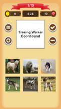 Dogs Quiz Image