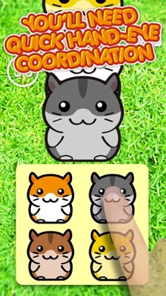 Hamster 100 Adorable Pet Friends screenshot