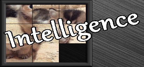 Games like Intelligence