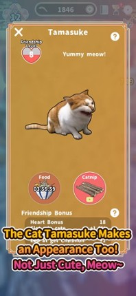 Jako Collection screenshot