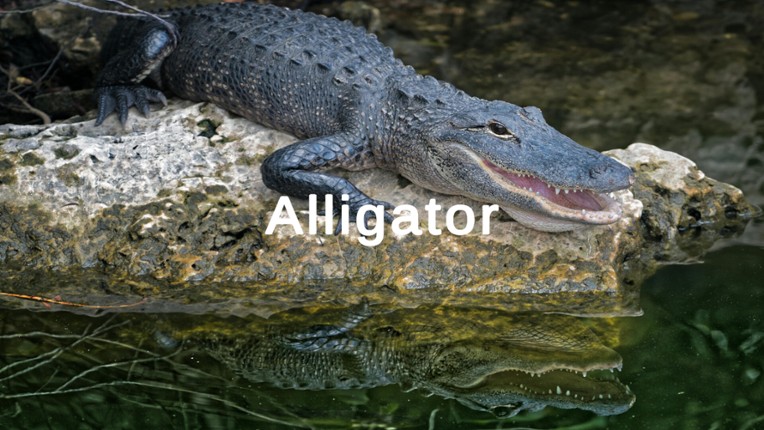 My First PC Game screenshot