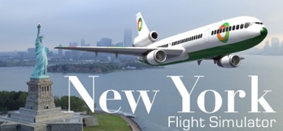 New York Flight Simulator Image