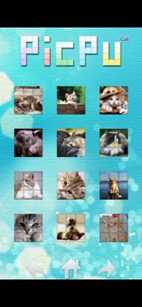 PicPu - Cat Picture Puzzle Image