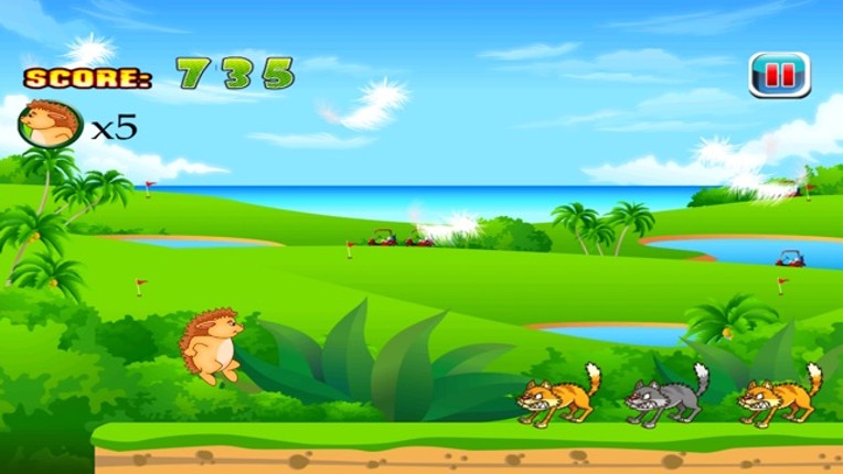 Where’s My Golf Ball?  Mickey the Hedgehog’s Mini Golf Dash Image