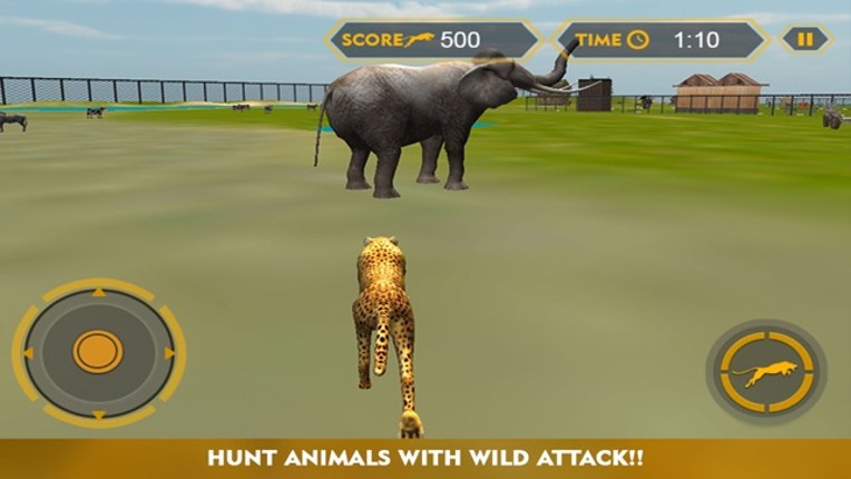 Wildlife cheetah Attack simulator 3D – Chase the wild animals, hunt them in this safari adventure screenshot