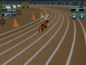 Dog Racing Image