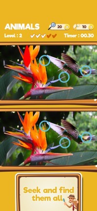 Find the difference Games * Image