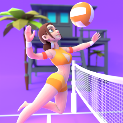 Beach Volleyball Game Image