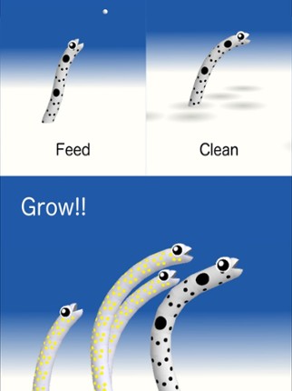 Garden Eel Image