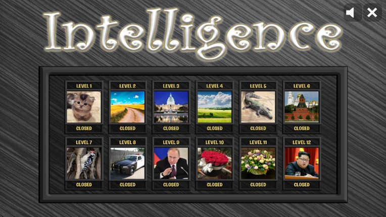 Intelligence screenshot