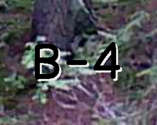 B-4 Image