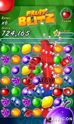 Fruit Blitz Image
