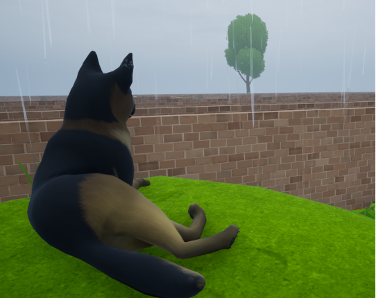 Dog 's life Image