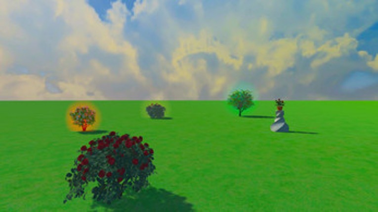 Through the Lens Image