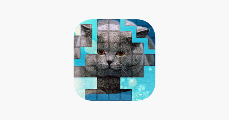 PicPu - Cat Picture Puzzle Game Cover