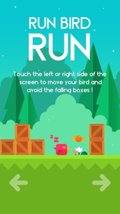 Run Bird Run screenshot