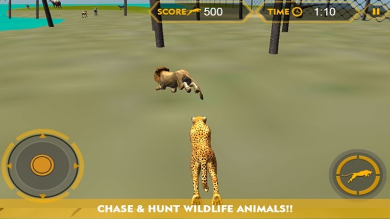 Wildlife cheetah Attack simulator 3D – Chase the wild animals, hunt them in this safari adventure screenshot