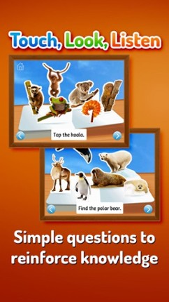 Zoo Animals ~ Touch, Look, Listen Image